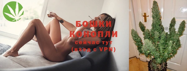 ГАЛЛЮЦИНОГЕННЫЕ ГРИБЫ Армянск
