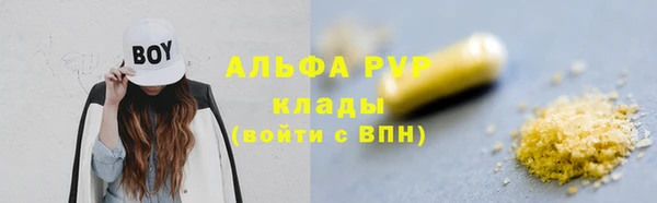 сатива Ростов